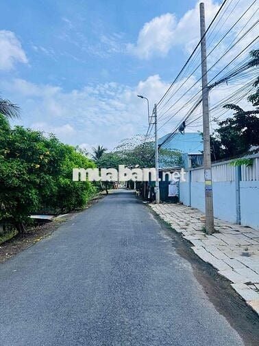 hơn 400m2 đất vườn ngay trung tâm p9, gần chợ trường học, sẵn huê lợi