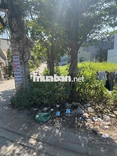 Đất ngộp cần bán gấp tặng cây xanh bự mát che cả vườn luôn