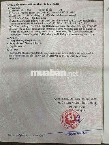 Đất ngộp cần bán gấp tặng cây xanh bự mát che cả vườn luôn