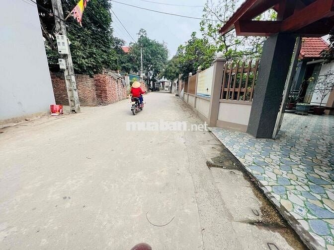 chính chủ bán gấp 64,4m phú nghĩa chương mỹ trả nợ ngân hàng