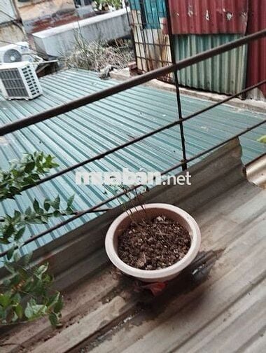 cho thuê phòng trọ tại phố Bùi Ngọc Dương