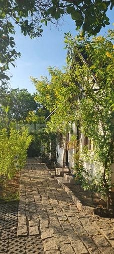 Cần bán 5.100m2 Villa Đảo Hoa Vàng, TP Cam Ranh, 14tr/m2, giấy hồng