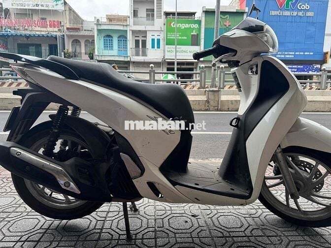 Honda SH 150 2013 Trắng