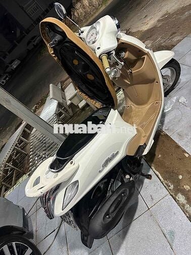 Noza zin bs dễ nhìn