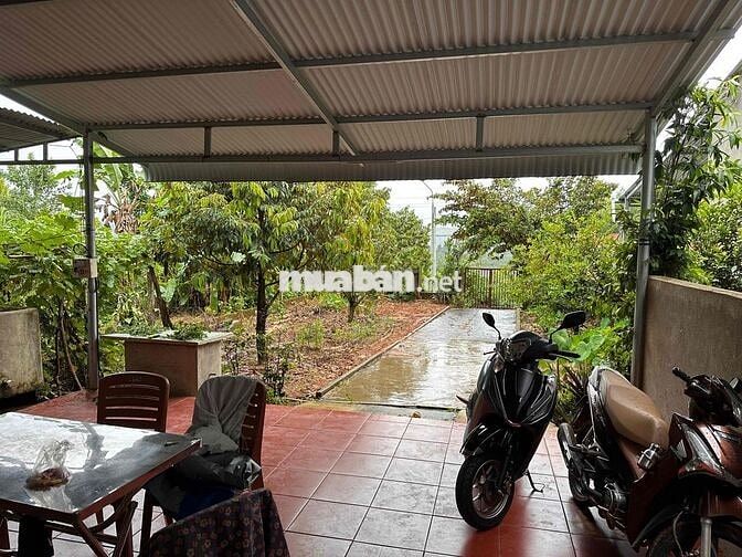 Bán đất 337m2 sẵn nhà mới xây.