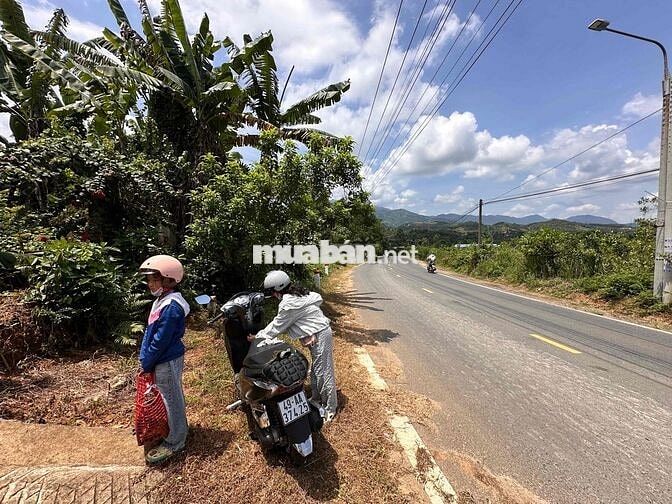 Bán đất 337m2 sẵn nhà mới xây.