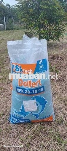 kẹt tiền cần ra gấp đất Đồng Phú