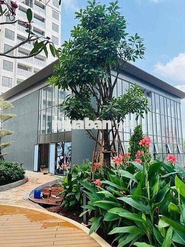 🌿 TERRACE DUPLEX GREEN SKYLINE – BIỆT THỰ SÂN VƯỜN TRÊN KHÔNG 🌿