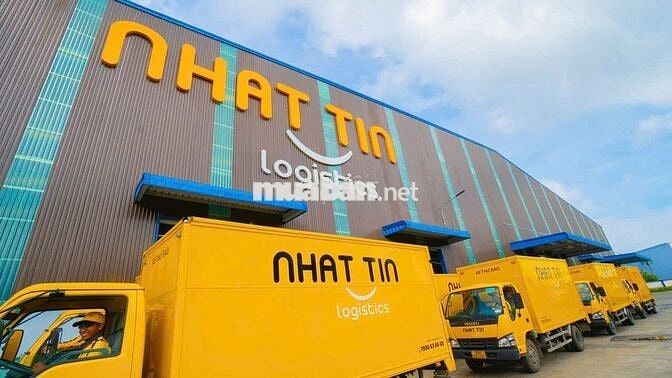 Nhất Tín Logistics Đà Nẵng Tuyển NVKD Thu nhập Cao