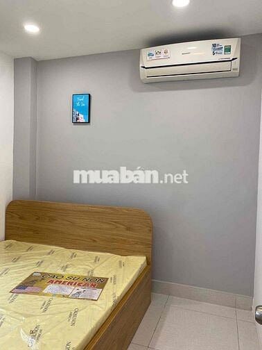 Cho thuê căn hộ 1pn gần đại học RMIT, Phú Mỹ Hưng, Lotte mart quận 7