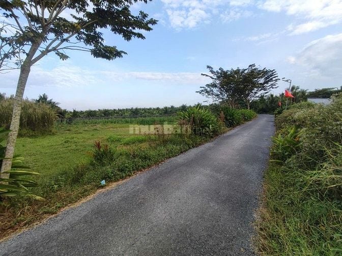 BÁN ĐẤT Ở 2 MT ĐƯỜNG ĐH 48, XÃ BÌNH NINH, HUYỆN TAM BÌNH, VĨNH LONG, 1
