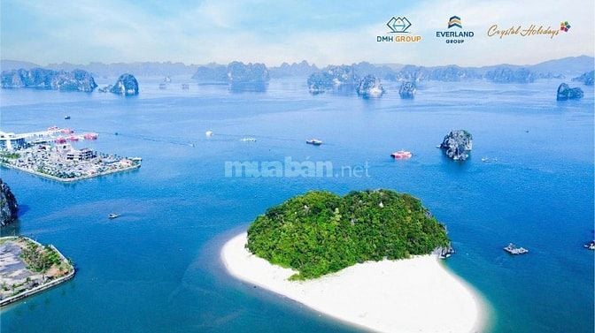 Sở hữu căn hộ view VỊNH BÁI TỬ LONG, đầu tư dòng tiền sinh lời 