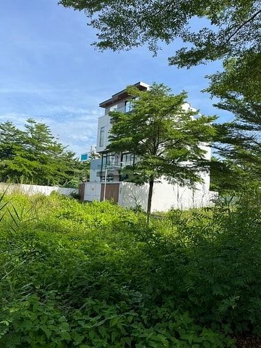 Bán đất hẻm xe tải 2564 Huỳnh Tấn Phát DT: 9.9 x 16m