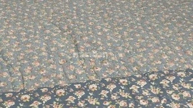 Cho thuê nhà full nội thất, số 16 ngõ 11 đường Nước Phần Lan, Tây Hồ