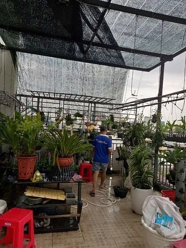 40 Tỷ! Bán Tòa 50CHDV Xô Viết Nghệ Tĩnh - 9,8x23m - Thu nhập 200tr/th