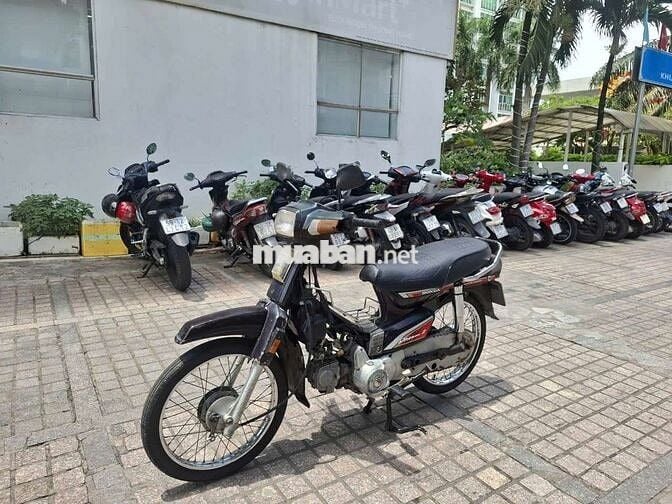 Honda Dream thái