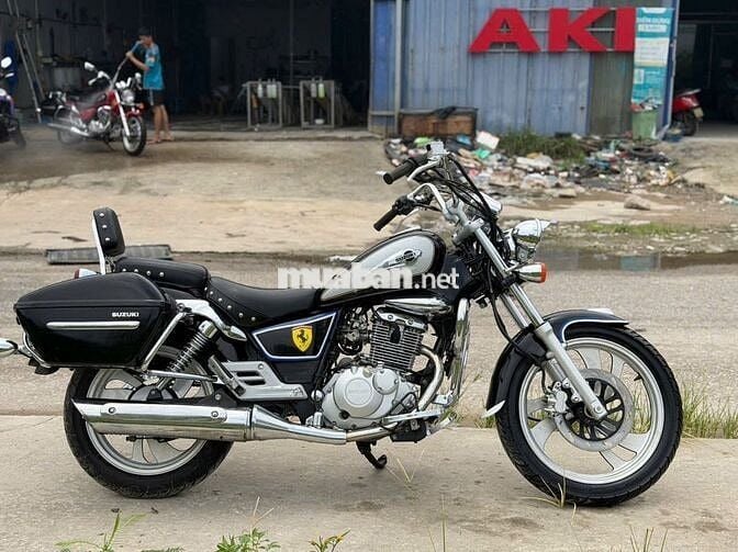 Suzuki 2024 