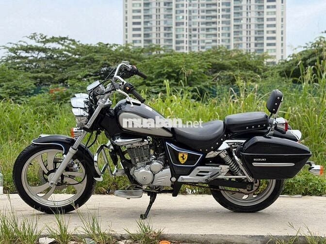 Suzuki 2024 