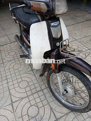 Honda Wave Alpha 2024 Nâu Trắng
