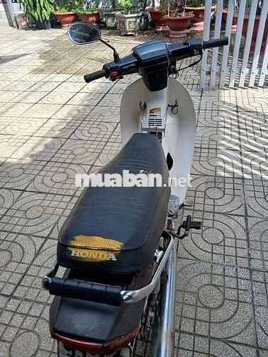 Honda Wave Alpha 2024 Nâu Trắng