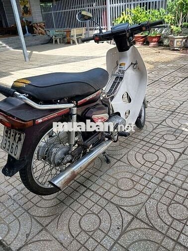 Honda Wave Alpha 2024 Nâu Trắng