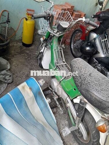 Honda Chaly Xanh lá