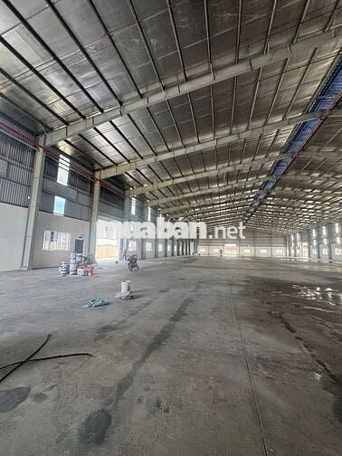 CHO THUÊ NHÀ XƯỞNG 6.000M² – KCN ĐỨC HÒA, TÂY NINH MỚI chỉ 3,2 USD/M²