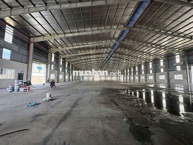 CHO THUÊ NHÀ XƯỞNG 6.000M² – KCN ĐỨC HÒA, TÂY NINH MỚI chỉ 3,2 USD/M²