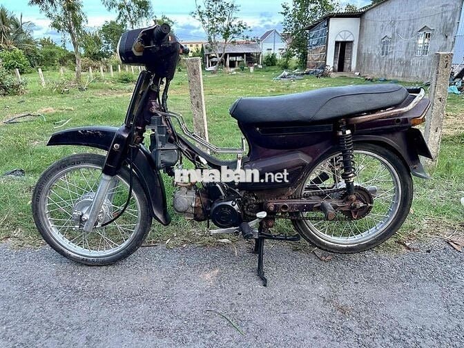 Dream TQ Giấy 2 Mãnh