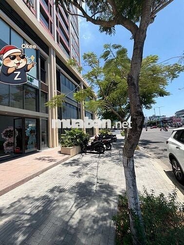 Cho thuê mặt bằng Shophouse tòa Panoma 1, đã hoàn thiện liền tường
