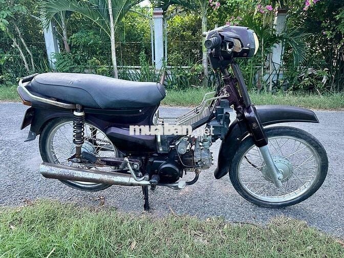 Dream TQ Giấy 2 Mãnh