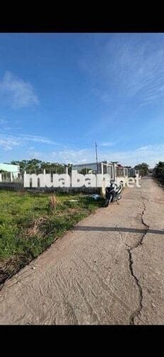 Bán 500m2 đất phù hợp làm nhà vườn , kho xưởng tại mỹ Lộc cần Giuộc