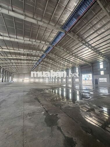 CHO THUÊ NHÀ XƯỞNG 6.000M² – KCN ĐỨC HÒA, TÂY NINH MỚI chỉ 3,2 USD/M²