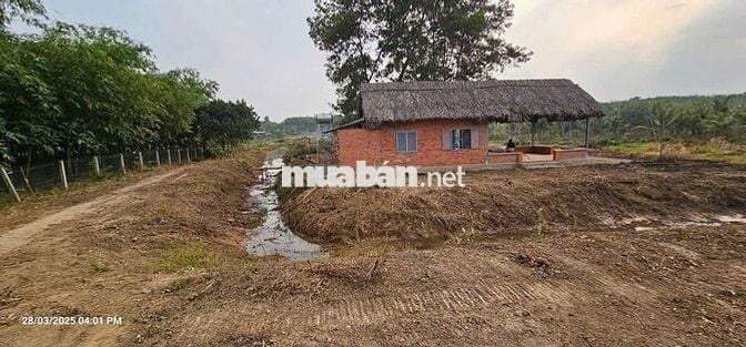 1.6HA - 2 MẶT TIỀN ĐƯỜNG VÀ SÔNG SG !