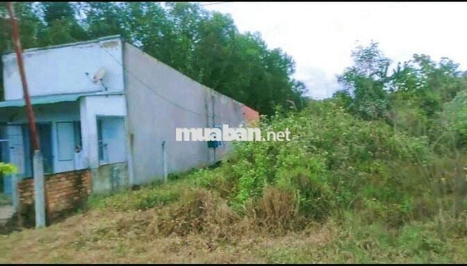 BÁN 1233M2 ĐẤT THỔ CƯ - MẶT TIỀN BÊ TÔNG !