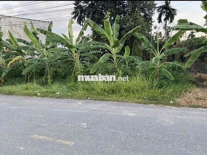 Bán đất đẹp gần chợ Bình Chánh , 213m2/1,13ty hợp đầu tư kinh doanh