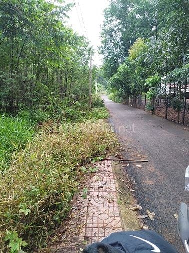 Cần bán đất khu phố Phú Thịnh Bình Phước nay là Đồng Nai