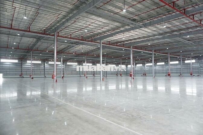Cho thuê kho 4500M2 mặt tiền Quốc lộ 22, Củ Chi, TP.HCM.
