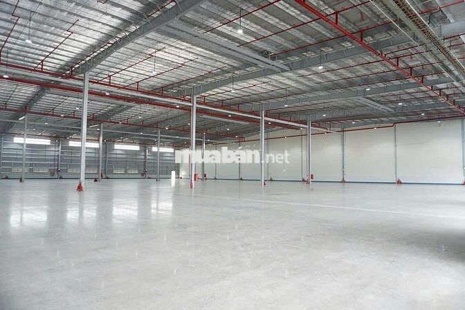Cho thuê kho 4500M2 mặt tiền Quốc lộ 22, Củ Chi, TP.HCM.