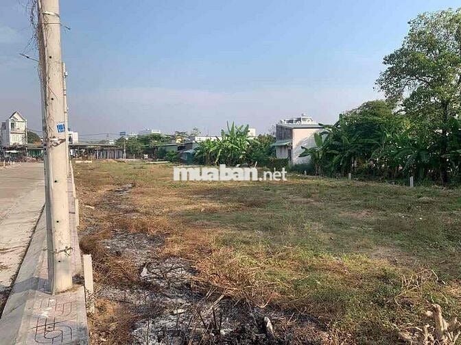 cần bán gấp đất thổ cư gần chợ bình chánh
