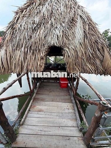 Tuyển quản lí nhà hàng