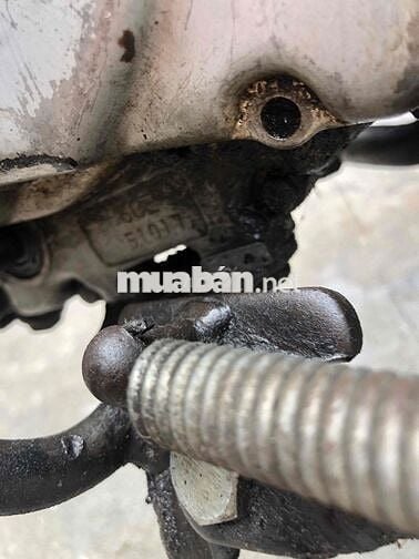 Honda Chaly 81 Đỏ Đã sử dụng