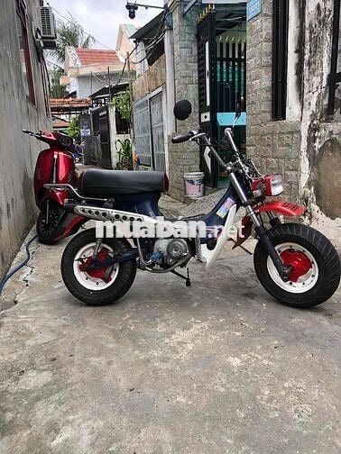 Honda Chaly 81 Số sàn Đỏ, Xanh, Trắng