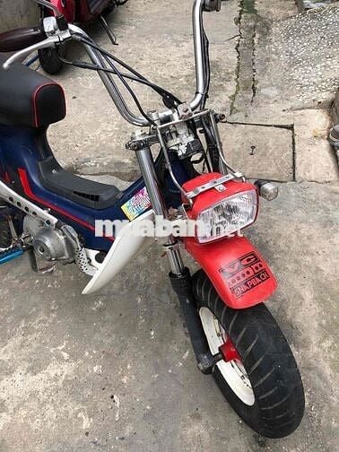 Honda Chaly 81 Số sàn Đỏ, Xanh, Trắng