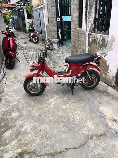 Honda Chaly 81 Đỏ Đã sử dụng