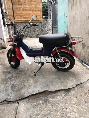 Honda Chaly 81 Số sàn Đỏ, Xanh, Trắng