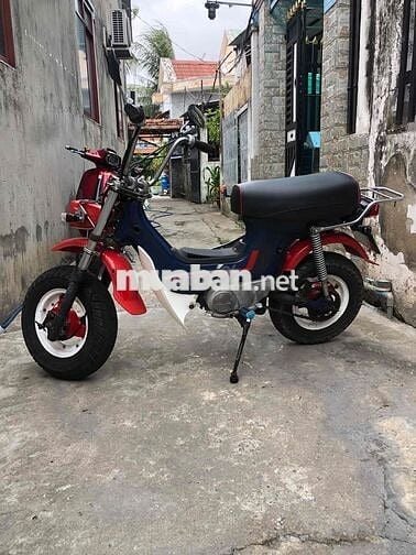 Honda Chaly 81 Số sàn Đỏ, Xanh, Trắng