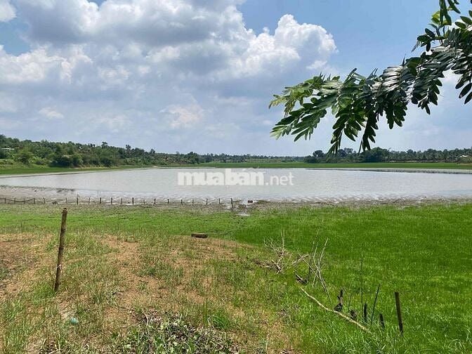 Eaning Cukuin Nhà Vườn 2900m2 tc400 2 tỷ 600 triệu nhà mới view hồ