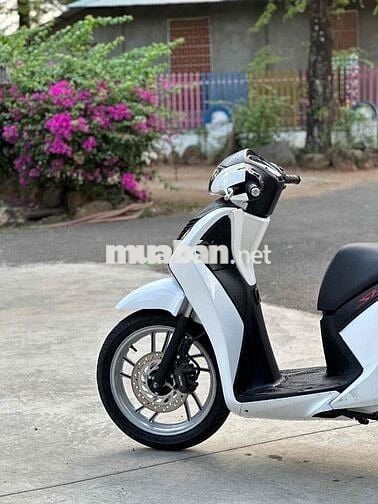 Honda SH 150i 2015 Trắng