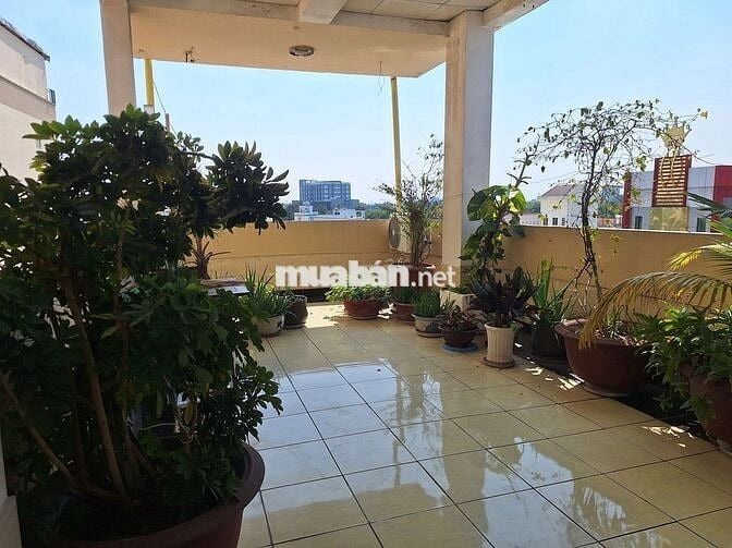 BÁN NHÀ MẶT TIỀN MẬU THÂN 7 LẦU CÓ THANG MÁY